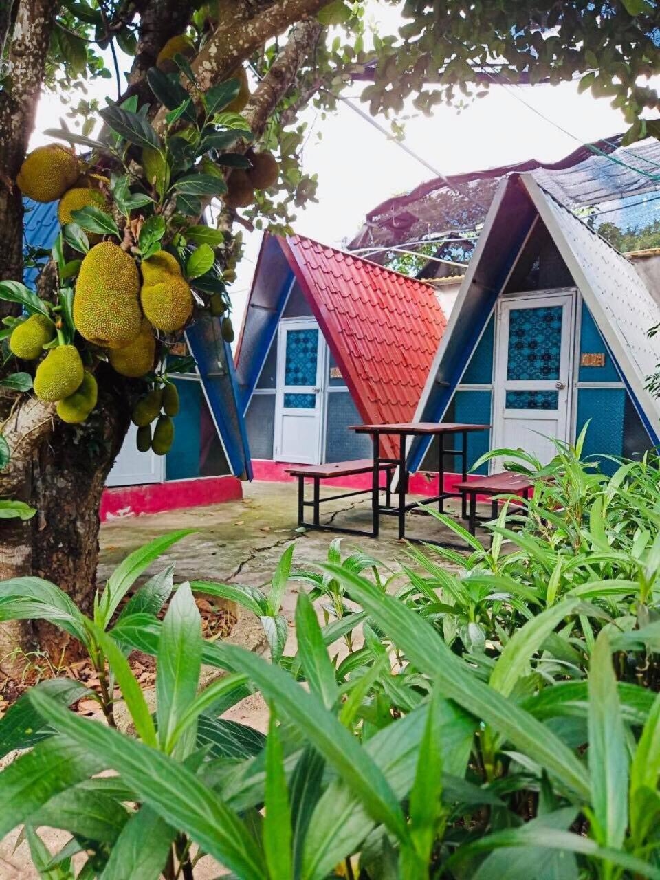 Mộc Homestay Moc Chau Luaran gambar