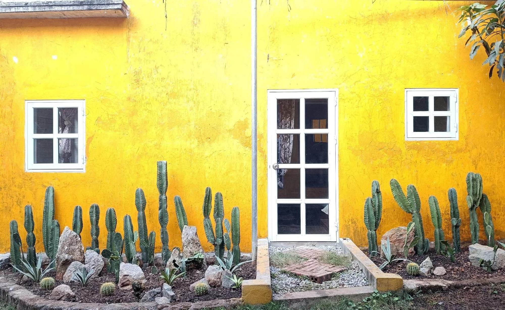 Mộc Homestay Moc Chau Luaran gambar