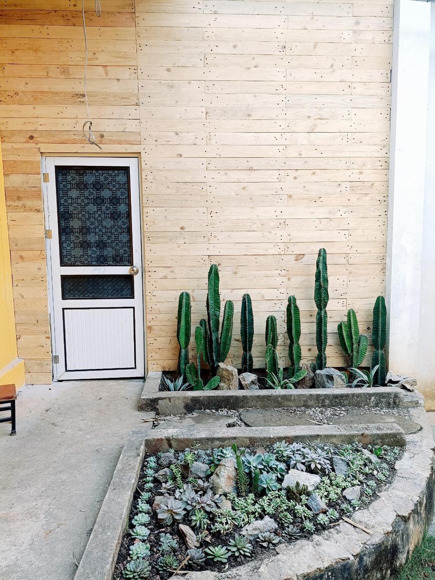 Mộc Homestay Moc Chau Luaran gambar